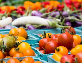 Farmer's Market