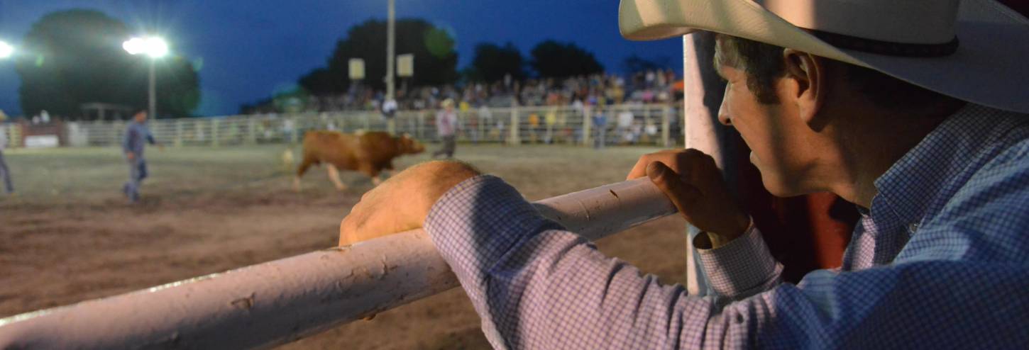 cowboy watching rodeo