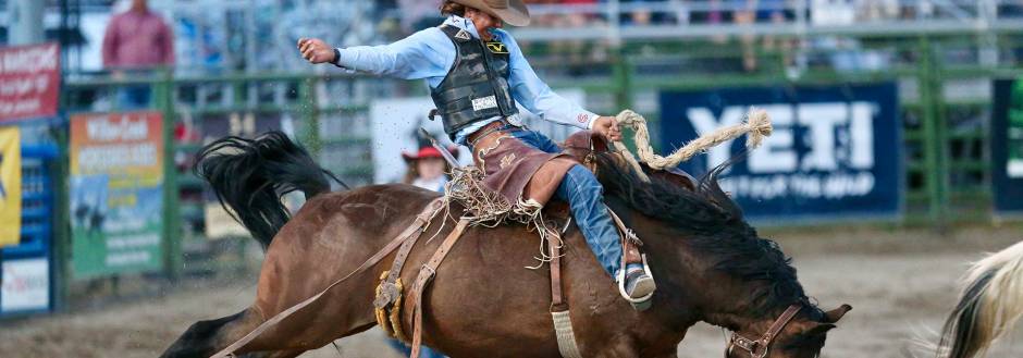 Jackson Hole Rodeo